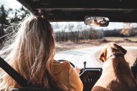 Top 10 meest iconische auto's aller tijden